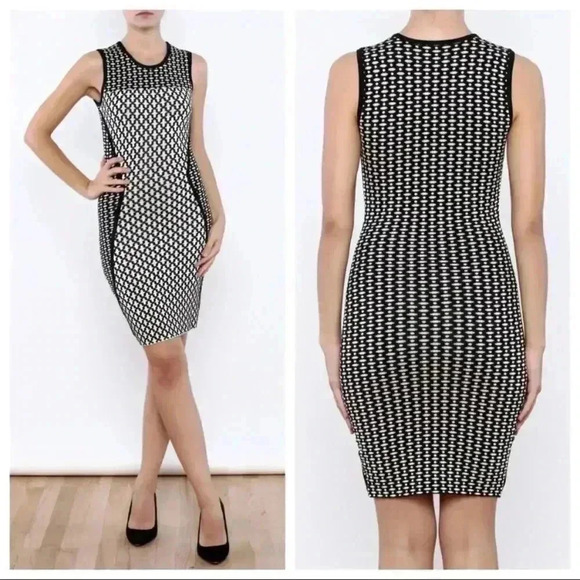 Torn by Ronny Kobo Tali Dress Large - Picture 1 of 8